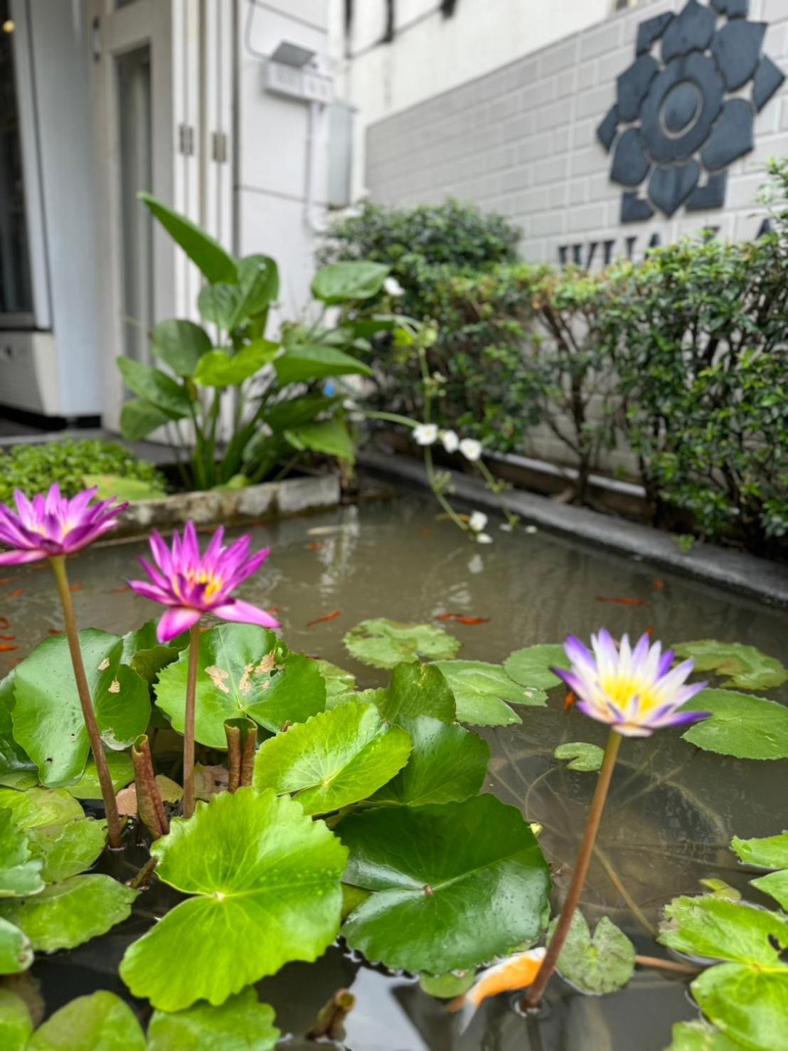 Wua Lai Boutique Hotel Chiang Mai Exterior photo